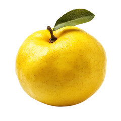 Single Ripe Quince with Smooth Yellow Skin Isolated on Transparent Background