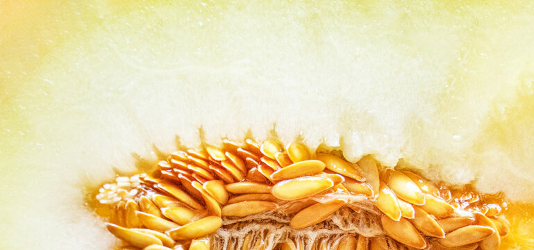 Close up of cut juicy melon, organic food background image, Yellow melon full of vitamins, Honeydew melon with yuichi texture