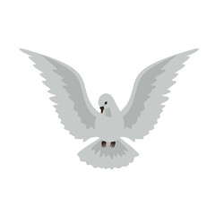 Flying Dove bird hand drawn simple icon
