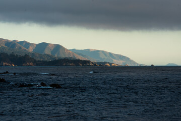 Rocky coast and a misty forested hillside in Monterey, California in golden light of sunset!