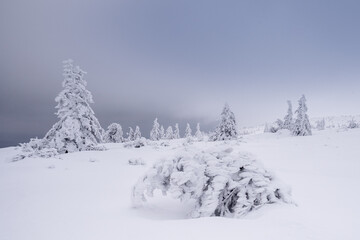 Landscapes from the road to Śnieżne Kotły in the Karkonosze Mountains, Poland