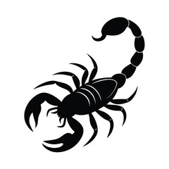 scorpion vector illustration