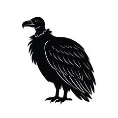 vulture vector illustration