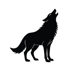 wolf vector illustration