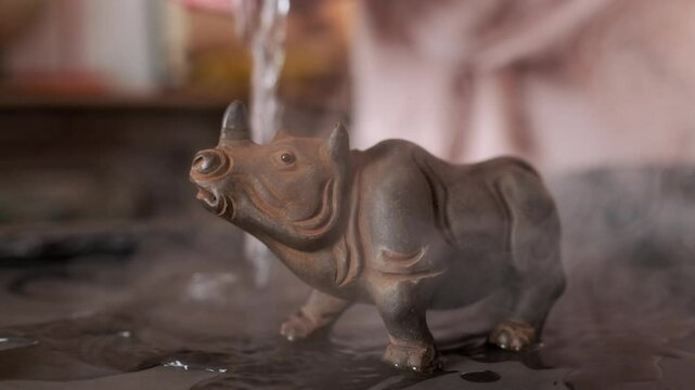 Close-up: a girl in a light shirt prepares for drinking tea, washing the paraphernalia for the tea ceremony with hot water.