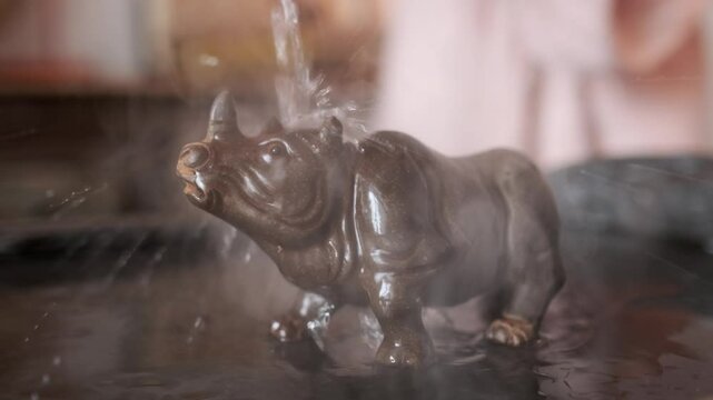 Close-up: a girl in a light shirt prepares for drinking tea, washing the paraphernalia for the tea ceremony with hot water.