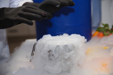 Flüssiger Stickstoff dampft - Versuch eines Chemikers