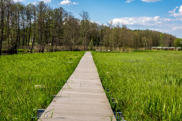 Hiking path in flooded meadows in the Zeimena valley, Svencioneliai, Lithuania