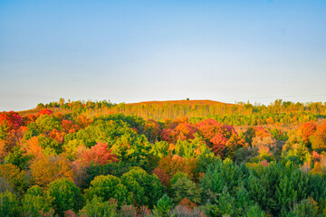 Warm autumn changing colorful trees with a blue sky at Rouge Urban Park. Nature landscape background with colorful trees. Fall season with yellow, orange, green, red and vibrant color tree leaves.