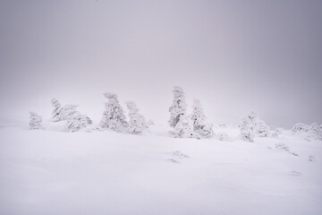 Landscapes from the road to Śnieżne Kotły in the Karkonosze Mountains, Poland