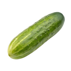 A single, fresh cucumber isolated on a black background. Isolated on a transparent background, PNG. Generative Ai.