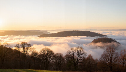 Fototapeta premium Silhouettes of bare trees above misty hills at sunrise, serene atmosphere