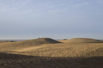 Vast sand dunes landscape with a small figure highlighting the scale.