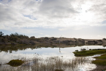 La Charca de Maspalomas in Gran Canaria. Calm water with reflections of the sky and vegetation.