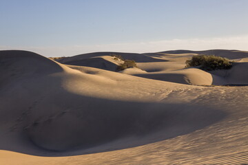 Maspalomas Dunes in Gran Canaria. Textured sand dunes with patterns, shadows, and faint footprints.