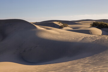 Maspalomas Dunes in Gran Canaria. Textured sand dunes with patterns, shadows, and faint footprints.