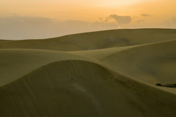 Maspalomas Dunes, Sand dune landscape at sunset or sunrise.