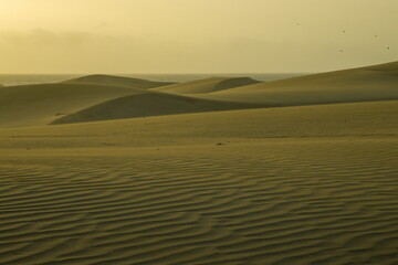 Maspalomas Dunes, Sand dune landscape at sunset or sunrise.