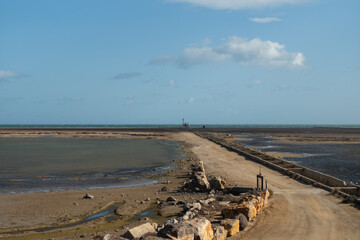 the beach in the morning