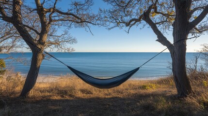 A single hammock strung between two trees on a summer beach, with a soft breeze moving the fabric, and the ocean stretching out into the horizon under a bright, clear sky.
