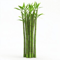 Obraz premium Tall bamboo stalks with fresh green leaves, symbolizing growth and harmony, isolated on white background