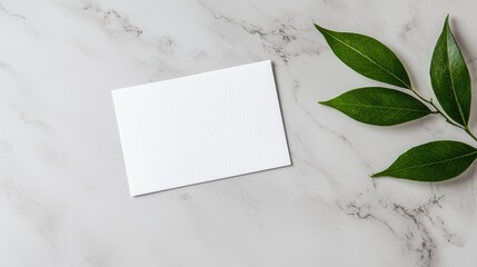 Blank card mockup, marble background, green leaves, stationery
