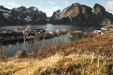 A beautiful autumn day in a small Norwegian village in Lofoten. 