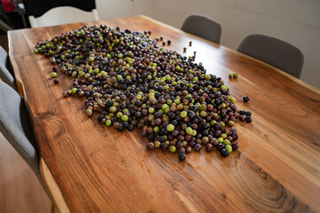 Freshly harvested olives on a rustic table