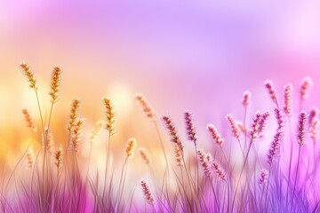 Fototapeta premium Vibrant wild grasses swaying gently in a colorful sunset atmosphere
