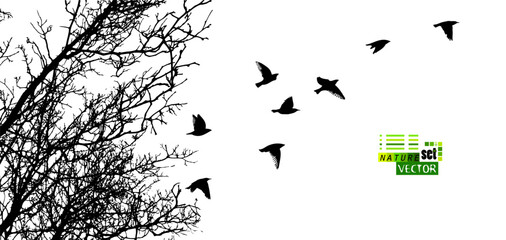 Tree silhouette and flying birds. hand drawing. Not AI Vector