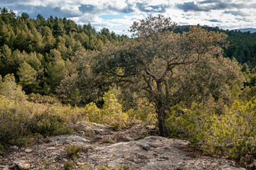 Fototapeta premium Landscape of the surroundings of Sinarcas. Valencia. Spain
