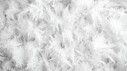 Obraz premium White fluffy texture, close-up detail, soft background, ideal for textile design