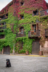 Architecture of Cabra de Mora. Teruel. Spain