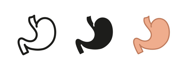Stomach icon. Digestion symbol. Digestive organ vector illustration. Human anatomy sign. Gastric nutrition pictogram. Internal abdomen stomach concept outline, line, black and colored isolated.