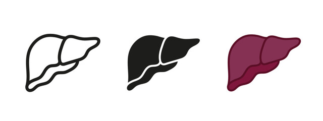 Liver icon. Human internal organ anatomy symbol. Healthy liver vector illustration. Isolated on white background outline, line, black and colored concept of human liver organ.