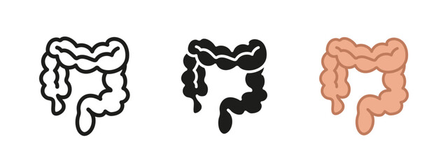 Intestine icon. Bowel symbol. Gut vector illustration. Colon sign. Human intestinal tract organ anatomy pictogram. Gastric abdominal intestines realistic concept. Stomach digestive tract silhouette.