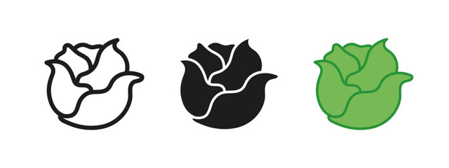 Cabbage icon. Lettuce salad vector illustration. Vegetable leaf symbol. Vegan or vegetarian sign. Healthy organic nourishment pictogram. Agriculture cooking ingredient outline, black and green concept