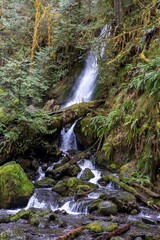 Quinault, Washington State, USA. Merriman Falls in the Quinault Rainforest.