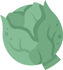 Detailed illustration of a fresh, green cabbage showcasing its lush, leafy texture. Ideal for culinary, agricultural, or health related themes, emphasizing natural and organic produce