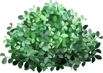 Lush green leaves forming a dense, textured bush, creating an ideal backdrop for nature themed designs and backgrounds, exuding a fresh and vibrant aesthetic for any project
