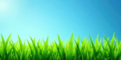 Fototapeta premium Lush green grass blades set against clear blue , bright, organic