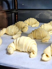 croissants on the way to cooking and golden crust