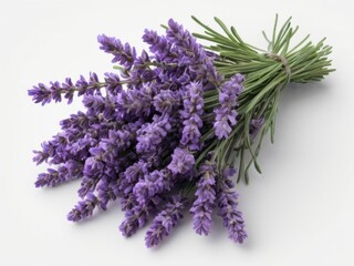 bunch of lavender