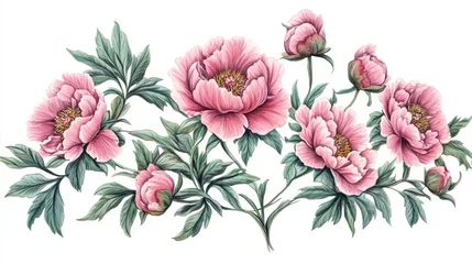 Gardinen Elegant pink peonies are depicted alongside their lush green leaves, showcasing stunning details and textures. This artistic representation captures the beauty of nature © EddieSnapix