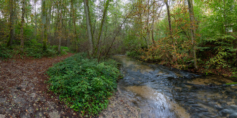 Sopot river and its tree-covered banks. Nature reserve Czartowe Pole (Devil's Field). Panoramic view. Landscape park Puszcza Solska, Roztocze, Poland, Europe.