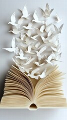 Education and freedom layered paper cut of an open book and birds