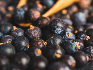 Bright juniper berries, create a calm and attractive natural background.