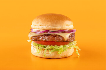 Gourmet Cheese burger on colorful background