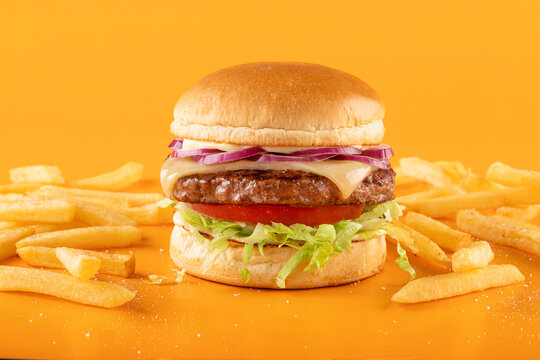 Gourmet Cheese burger on colorful background