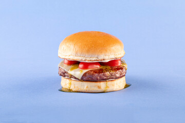 Gourmet Cheese burger on colorful background